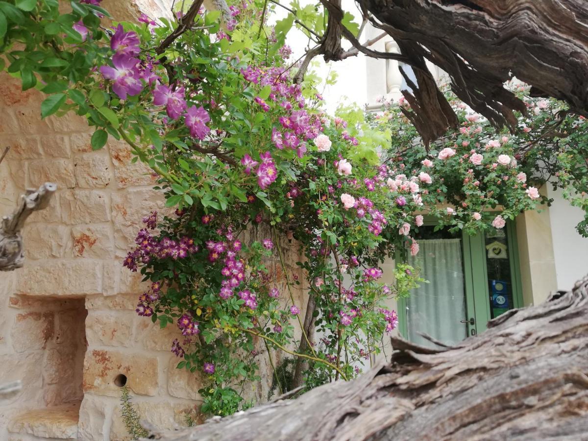 B&B Giovannarolla Green House ออสตูนี ภายนอก รูปภาพ