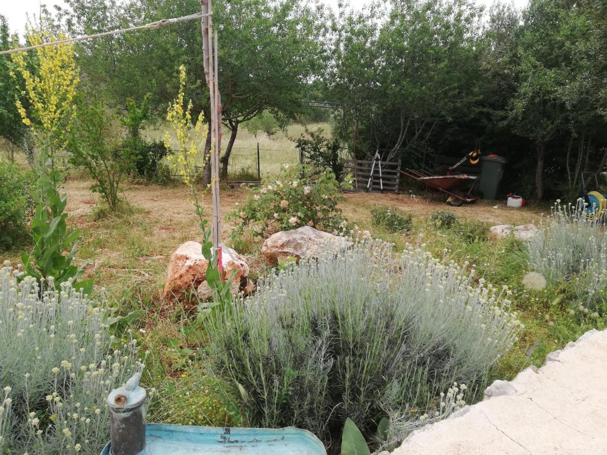 B&B Giovannarolla Green House ออสตูนี ภายนอก รูปภาพ