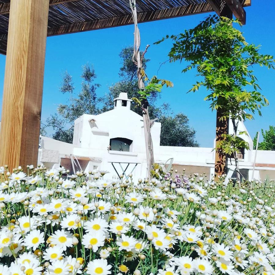 B&B Giovannarolla Green House ออสตูนี ภายนอก รูปภาพ