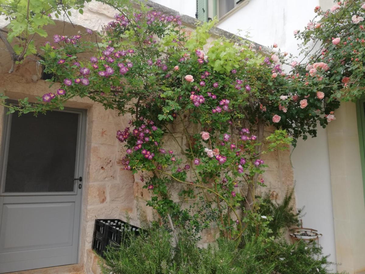 B&B Giovannarolla Green House ออสตูนี ภายนอก รูปภาพ