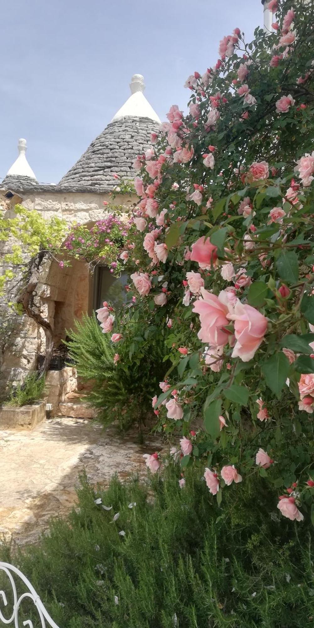 B&B Giovannarolla Green House ออสตูนี ภายนอก รูปภาพ