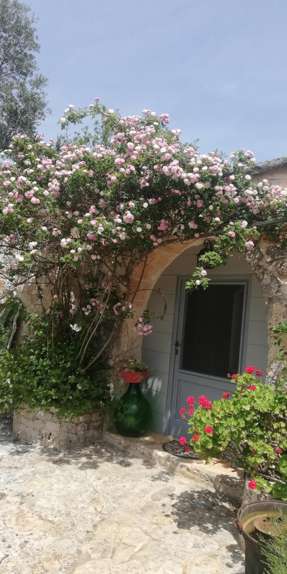 B&B Giovannarolla Green House ออสตูนี ภายนอก รูปภาพ