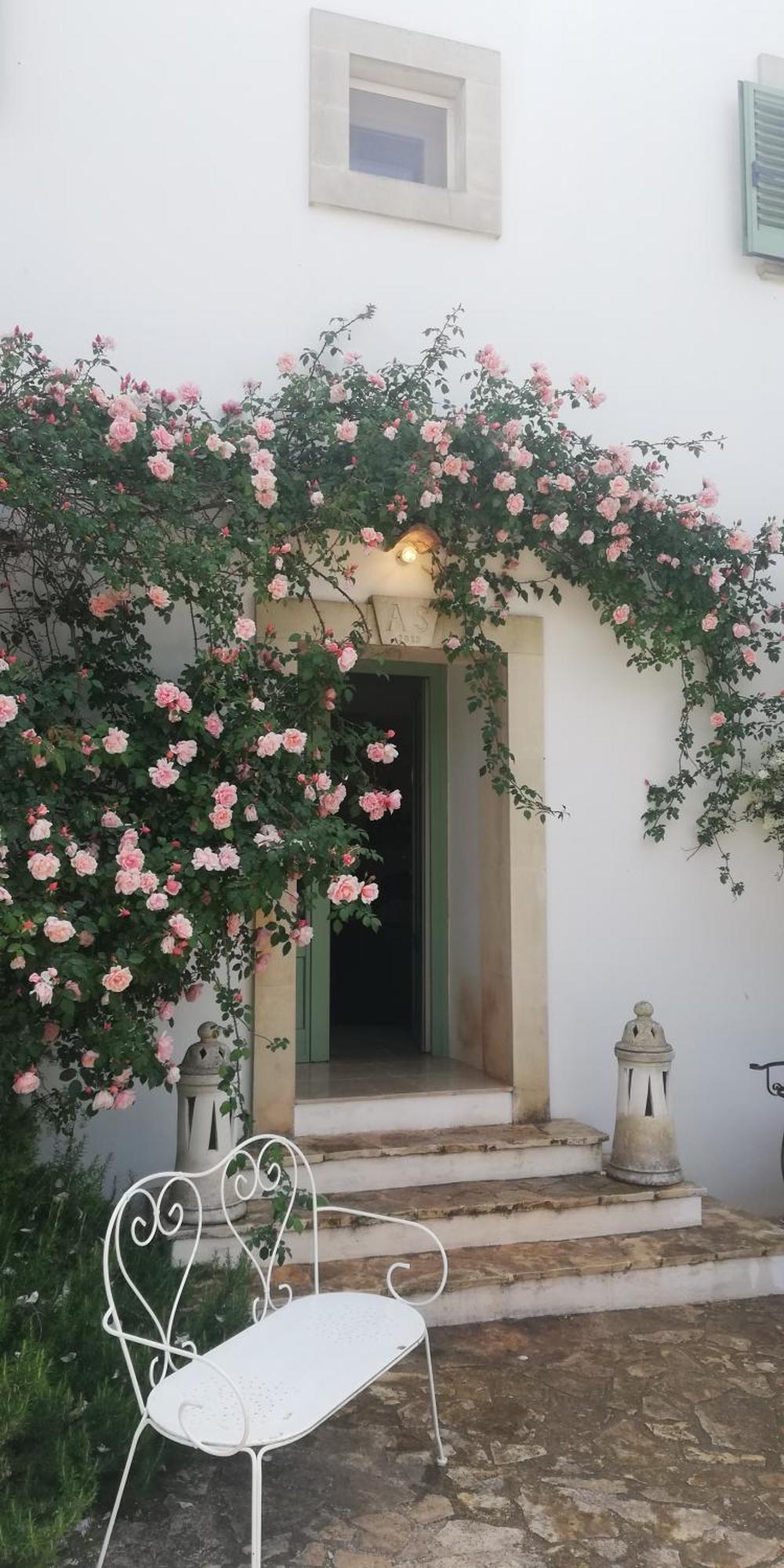 B&B Giovannarolla Green House ออสตูนี ภายนอก รูปภาพ