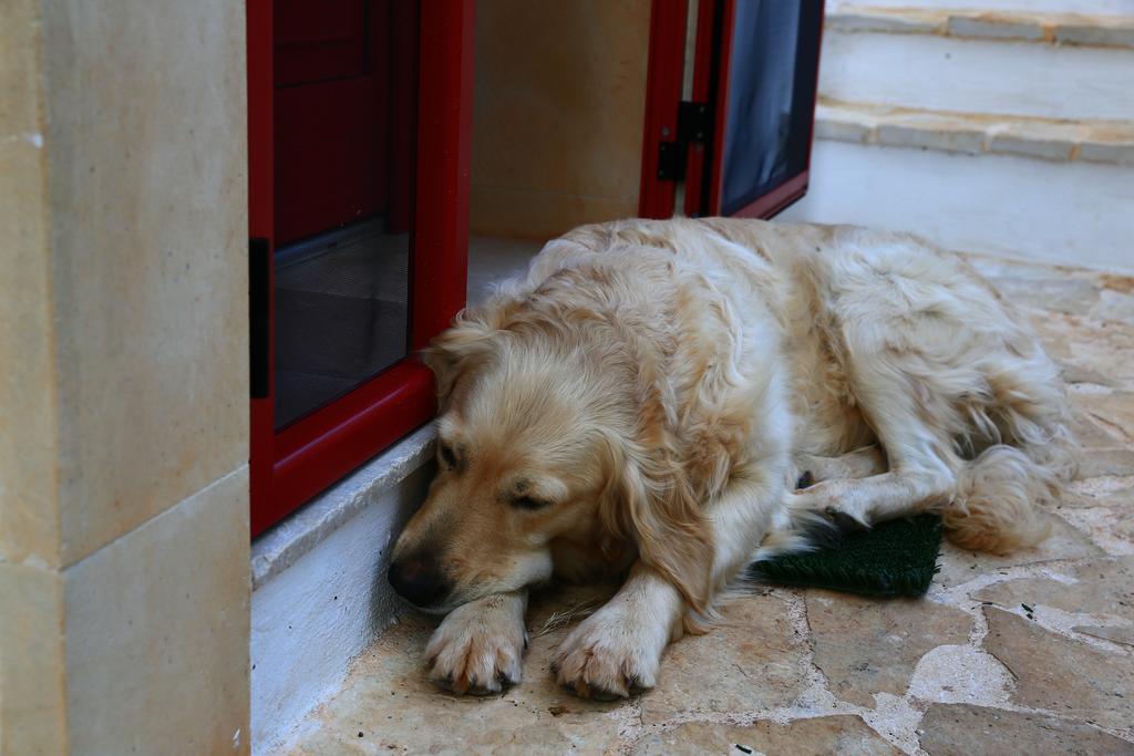 B&B Giovannarolla Green House ออสตูนี ภายนอก รูปภาพ
